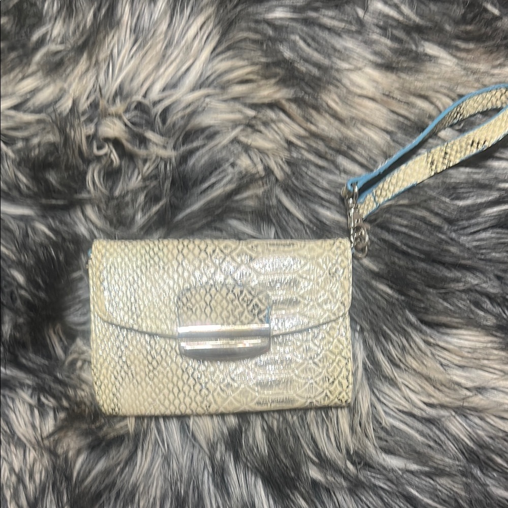 Elegant Cream Clutch with Silver Accents